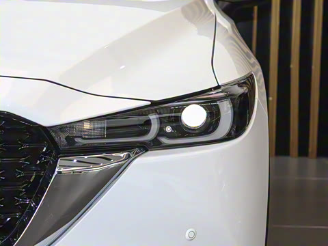 2024�� 2.0L �Զ���������Pro