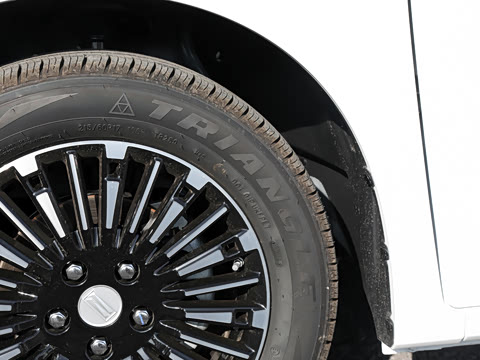 2025�� 401km ���� 7��