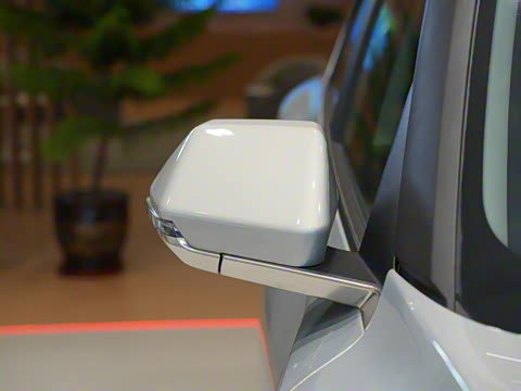 2025�� 530 Light