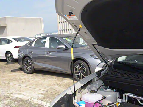 2025�� DM-i 75KM������