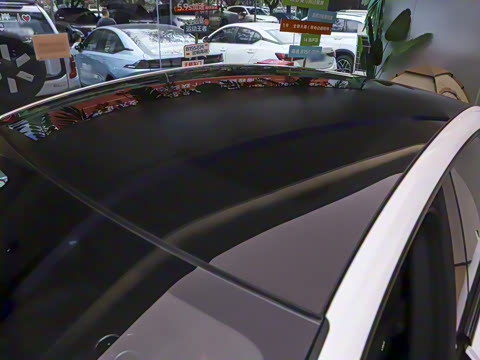 2025�� ���̾�Ӣ��