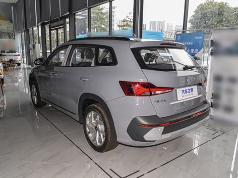 2024�� ǧ�ｭɽ 280TSI �Զ���ҫ��