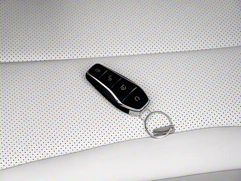 2024�� DM-i 80KM�����