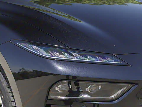 2025�� ���� 230ProѲ����