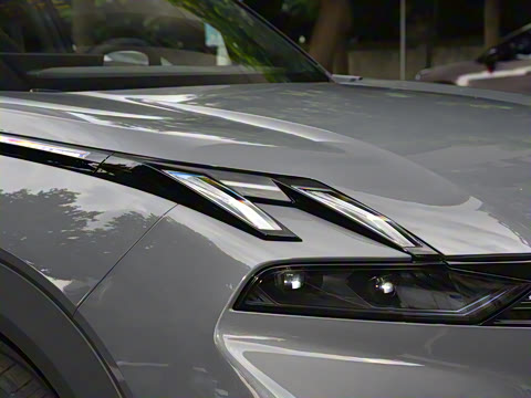 2023�� EM-P 126������Halo