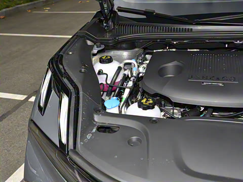 2023�� EM-P 126������Halo