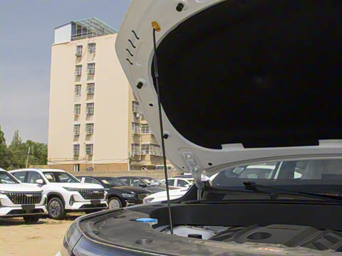 2025�� ���Ĵ� 2.0TD DCT �Ȱ�