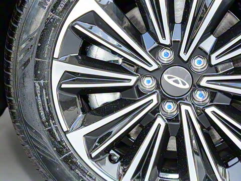 2024�� 127 Ԧ���