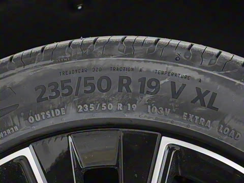 2025�� ������������