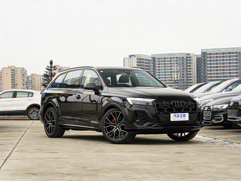 2025�� 55 TFSI quattro S line��ѩ�˶���