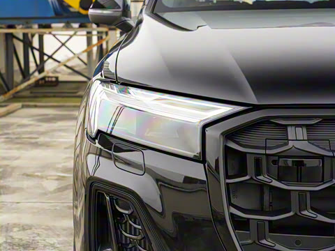 2025�� 55 TFSI quattro S line��ѩ�˶���