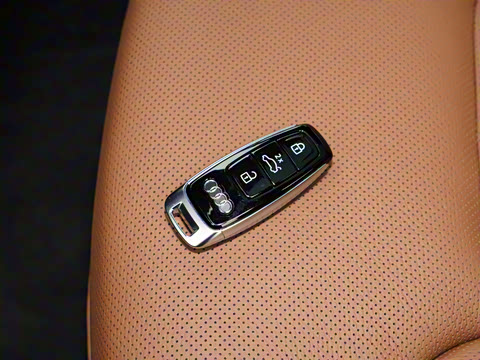 2025�� 55 TFSI quattro S line��ѩ�˶���