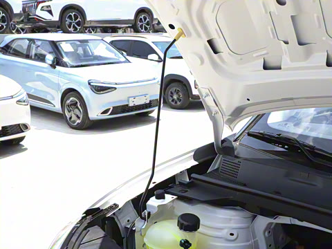 2024�� 330 ��ҵ��