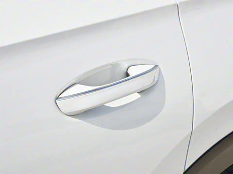 2024�� 380TSI ����R-LineѲ�� ������