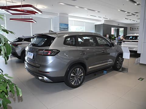 2024�� �ھ��� 290TGDI DCT������ 5��