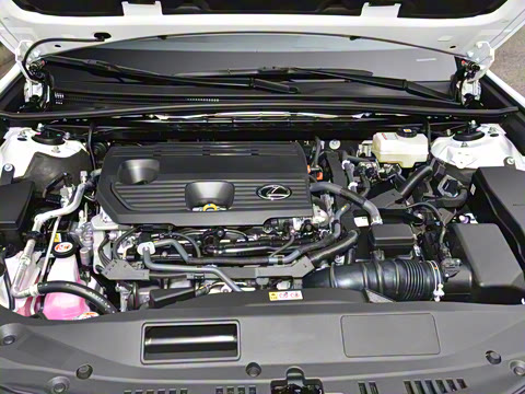 2025�� 300h ������