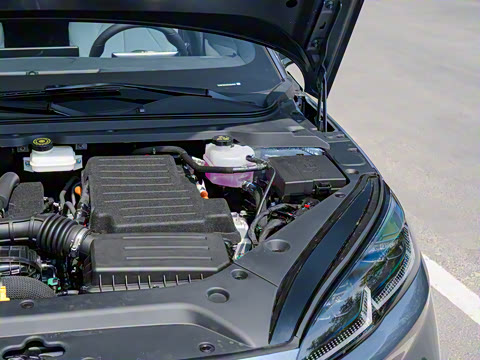 2024�� DM-i 80KM�����