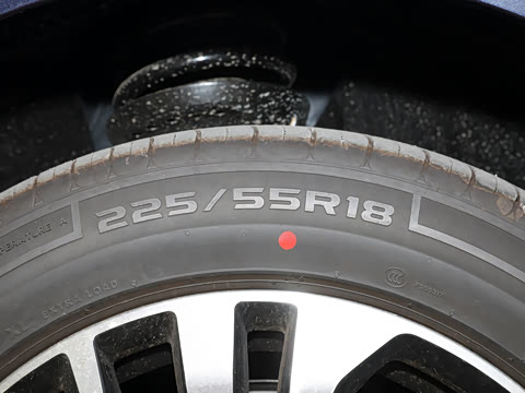 2024�� ������ 2.0T �콢��