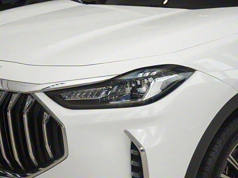 2024�� �ھ��� 1.5T DCT�ھ�MAX 5��