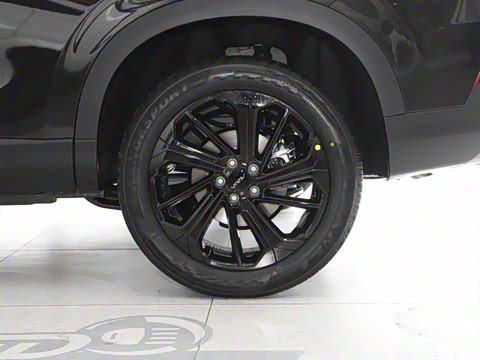 2025�� ���ն��� 1.5T �����