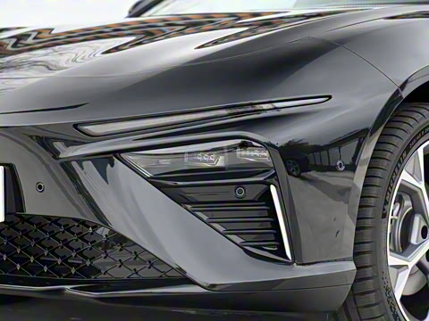 2024�� ����300 Max��