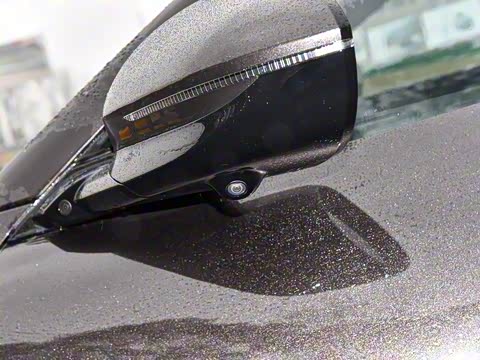 2024�� Max���������