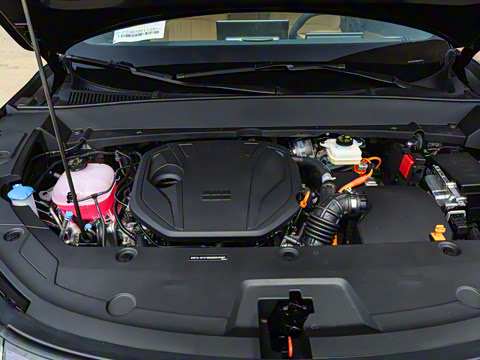 2025�� 55km ̽����