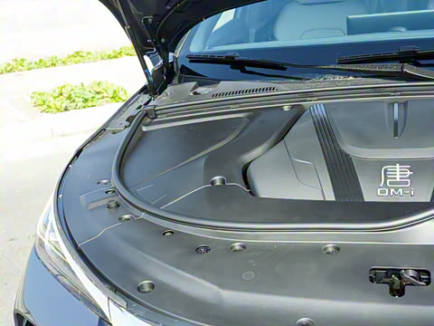 2025�� DM-i 115KM ������