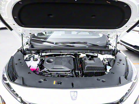 2024�� 135������