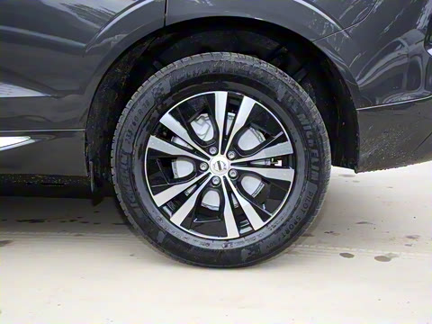 2025�� B5 �������ݺ�����