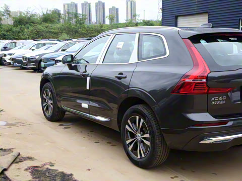 2025�� B5 �������ݺ�����