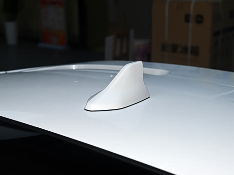 2025�� DM-i 115KM������