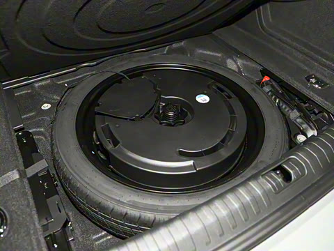 2024�� 55 TFSI quattro RS �׼����ٰ�