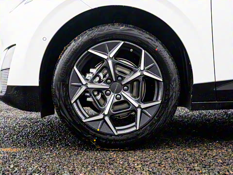 2025�� 530km ����Max