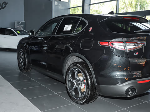 2024�� 2.0T 280HP Dragon Edition �����޶���