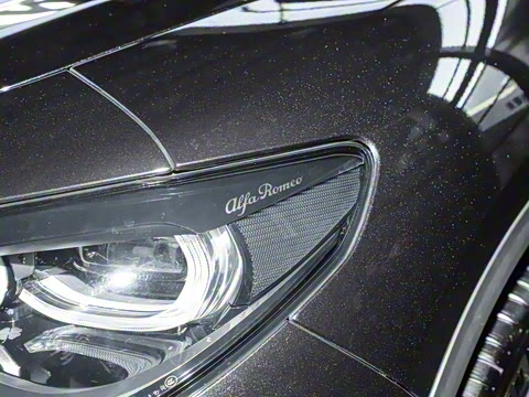 2024�� 2.0T 280HP Dragon Edition �����޶���