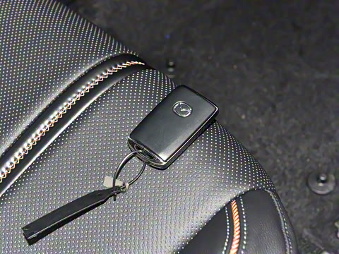 2023�� 2.5L ���а�