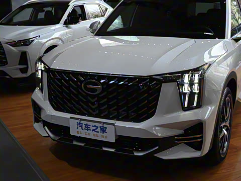 2025�� �캽ϵ�� 2.0TGDI ���������� 5��