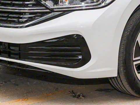 2025�� 300TSI DSG��Խ��