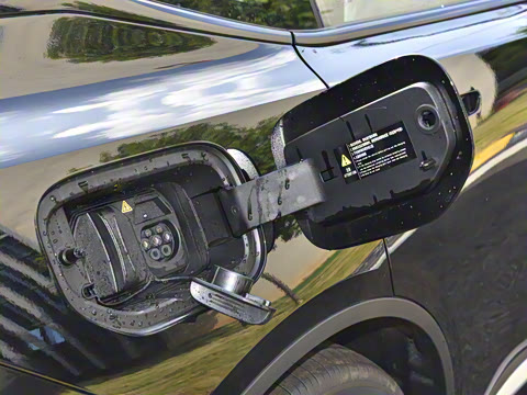 2024�� 135Plus��ҫ��