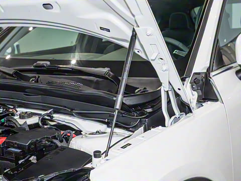 2024�� B3 ��Զ������