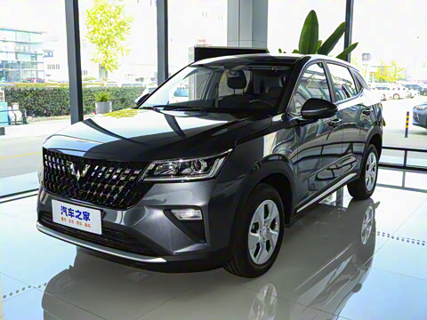 2022�� 1.5L �ֶ�������