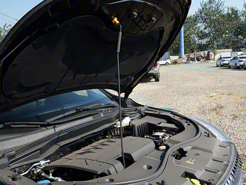 2023�� PLUS 1.5T DCT��Ӣ������