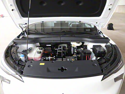 2025�� 445km ���ð�