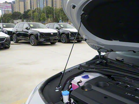 2025�� 1.6T DCT��