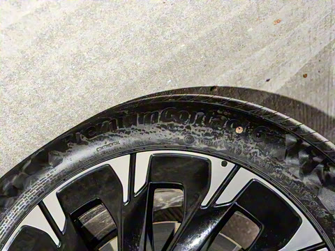 2025�� �������Ȱ�