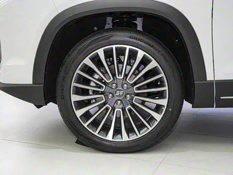 2024�� 1.5TD 2DHT Max 7��