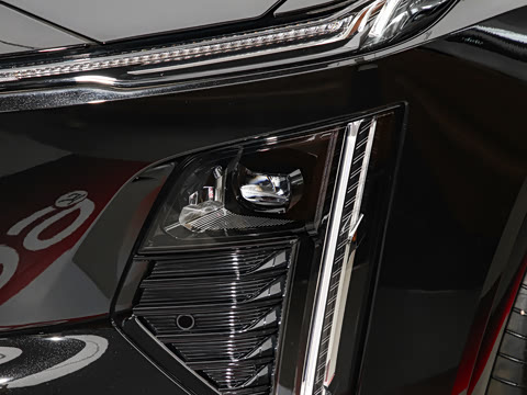 2023�� 25T �����