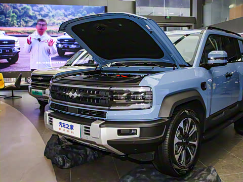 2024�� ����������