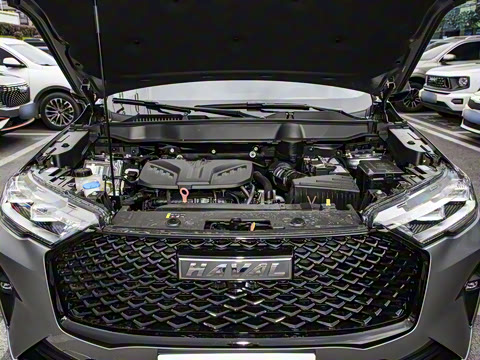 2024�� ������ 2.0T �Զ�����Max